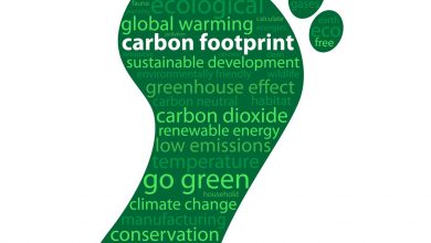 Qatargas Promotes 'Go Green' Carbon Footprint Calculator Among Schools, Colleges