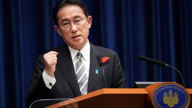 Japan Prime Minister: No Malfunction in Nuclear Plants Due to Earthquake