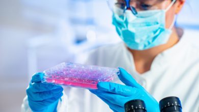 HMC unit successfully performs 147 stem cell transplants despite Covid-19 pandemic