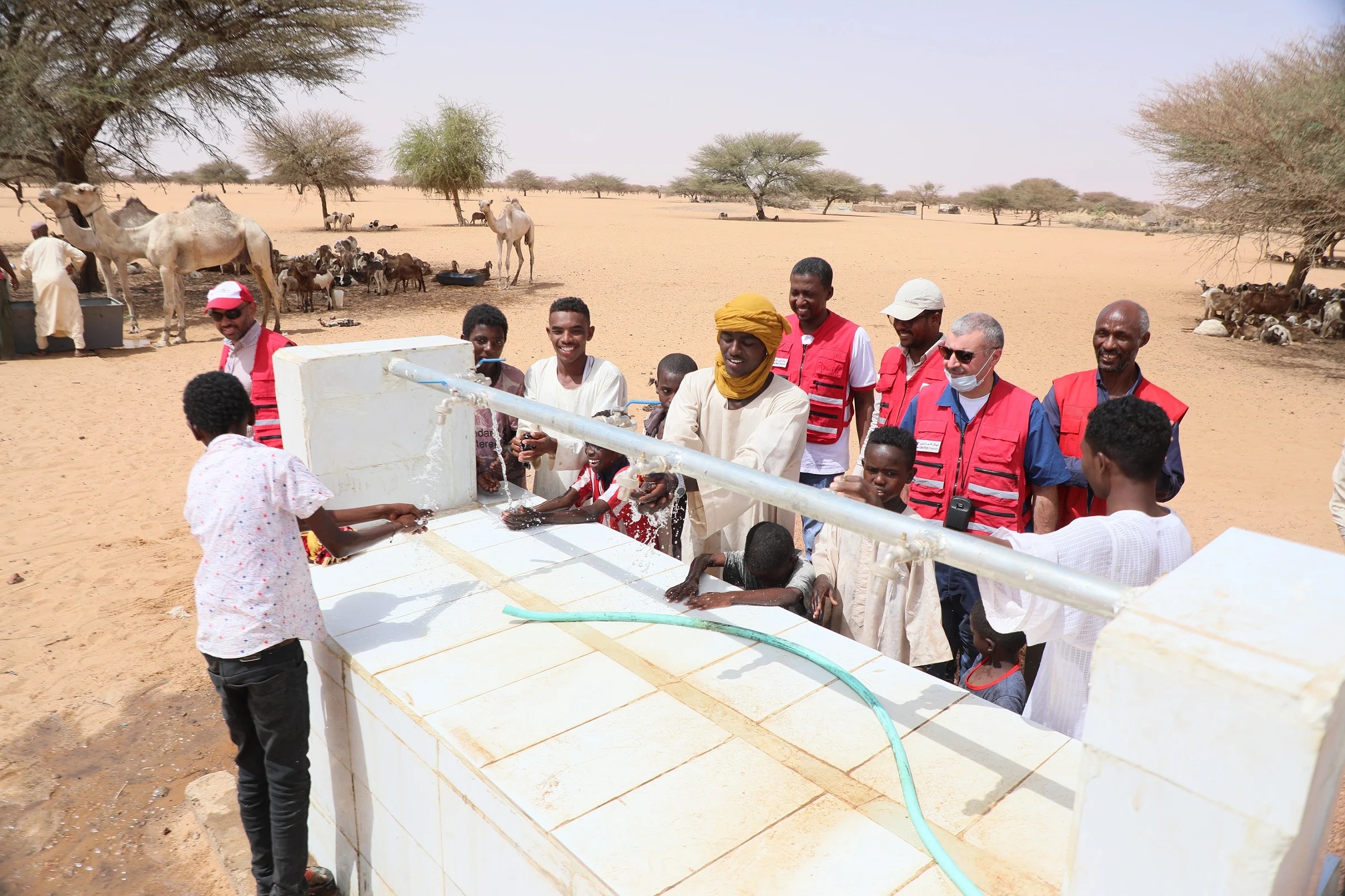 QRCS Completes Construction of 8 Water Plants in North Kordofan State, Sudan