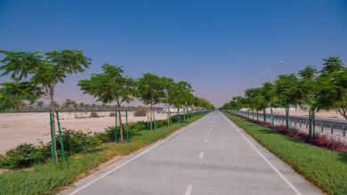 Dukhan Road beautification work completed