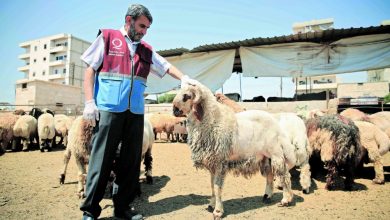 Qatar Charity 1mn people in 36 countries benefited from Udhiya Campaign