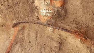 Archaeologists discovered a Polish 'vampire' skeleton remains