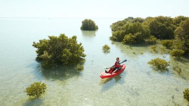 Qatar's Purple Island named among 50 Best Islands In The World