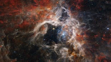 NASA's Webb Telescope Captures Image of Tarantula Nebula