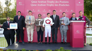 Qatari-Owned Horses Dazzle in Paris