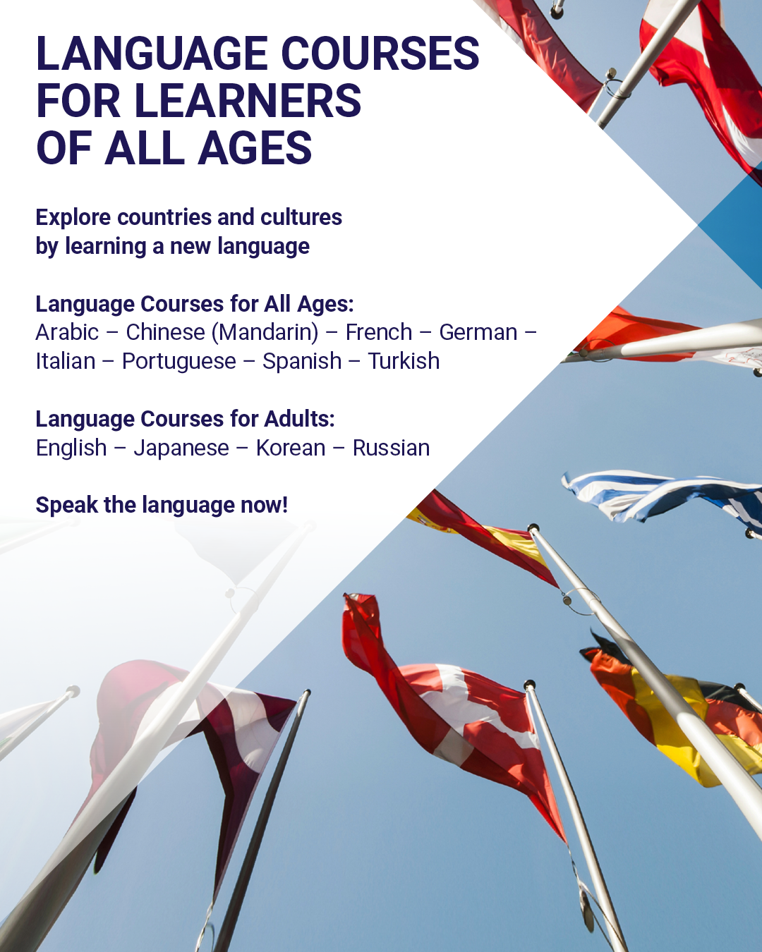 HBKU’s TII Announces Language Courses for Spring 2023