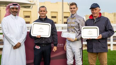 "Al Matafi" Wins Al Judhay Cup for Purebred Arabian Horses