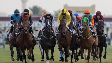 QREC Announces Prize Increase for 2023-24 Horseraces