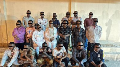 Officials nab 19 for smuggling and illegally harbouring workers
