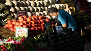 FAO: World Food Prices Fall for 11th Month Running in February