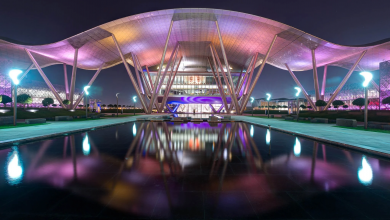 QSTP Session Spotlights Nature-Based Solutions Tackling Environmental Challenges