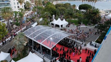 13 DFI-Supported Films Selected at Cannes 2023