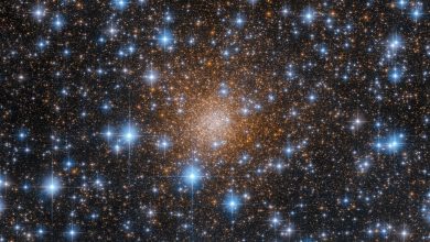 Hubble Telescope Discovers Dense Star Cluster