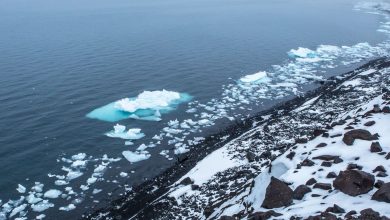 New Study: Arctic may be Sea Ice-Free in 10 Years