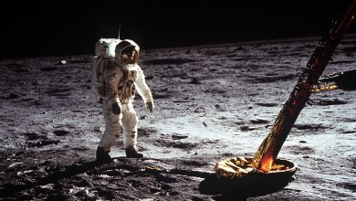 NASA: There May Be Life On The Moon After All