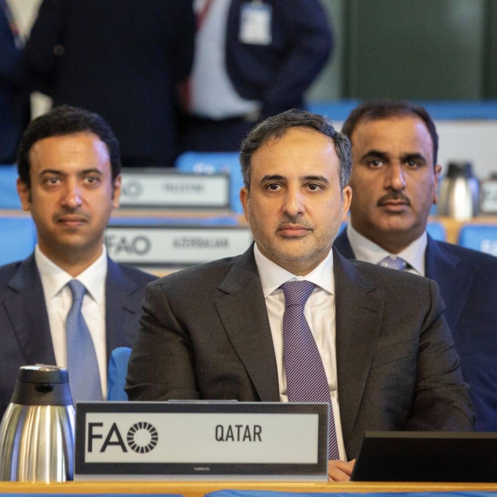 Minister of Municipality Elected Vice-Chairperson of 43rd FAO Conference