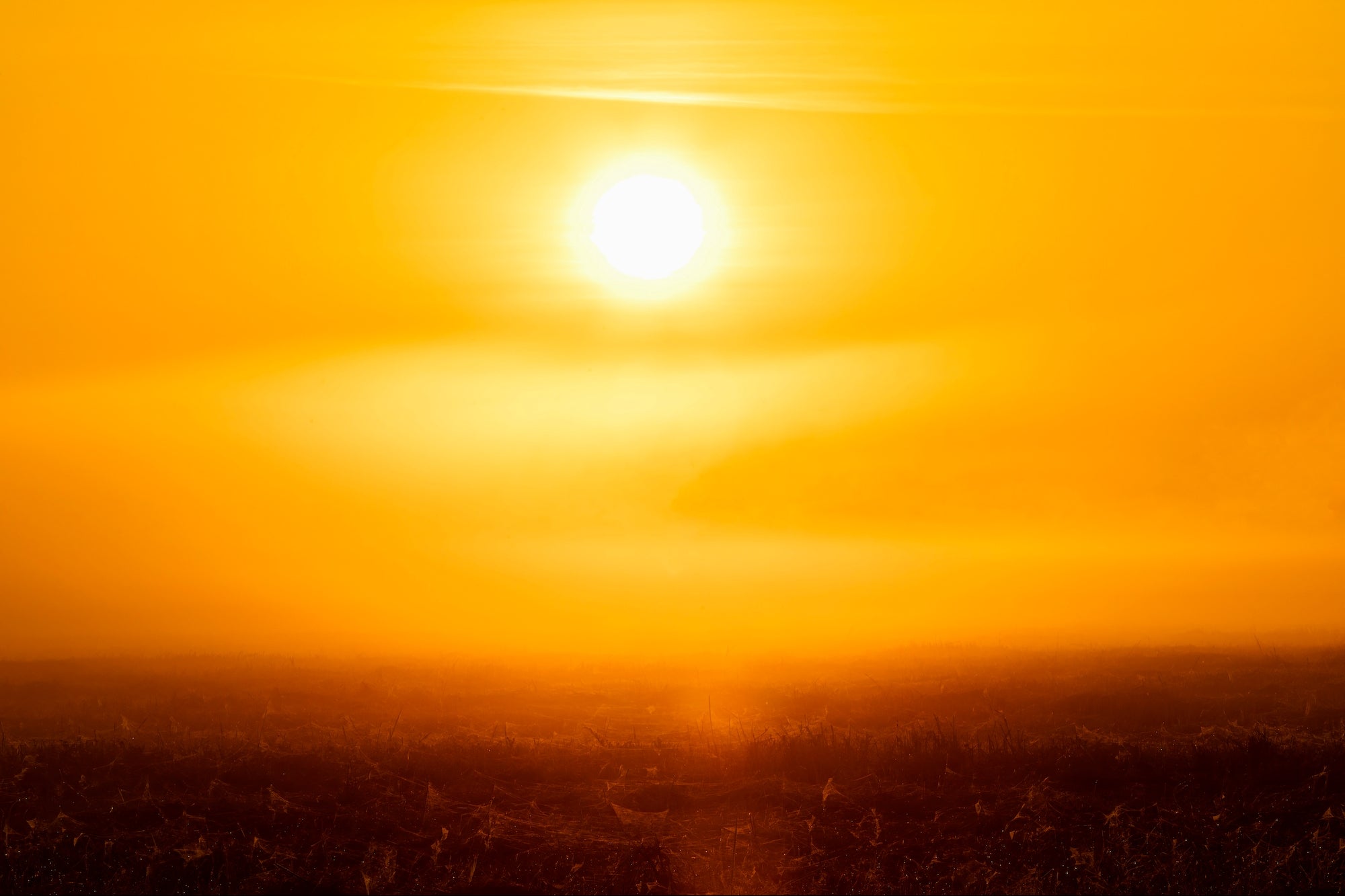 NASA Experts Warn: July This Year Could Be the Hottest in Millennia