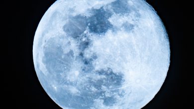 Enchanting Moment: Giant Blue Moon Illuminates Qatar's Sky on Wednesday