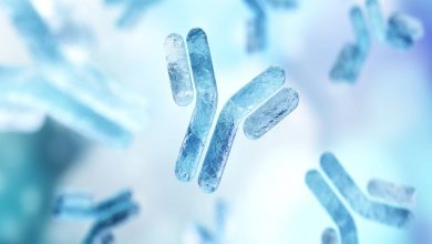 Study Establishes Link Between DNA Gene Forms, Allergic Reaction-Triggering Antibodies Among Qatar's Population