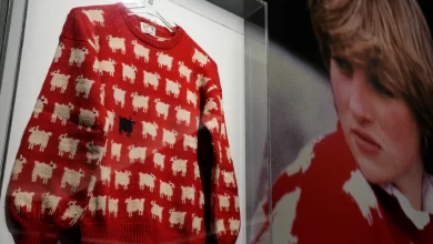 Princess Diana’s Famous Sweater Just Sold For More Than A Million Dollars