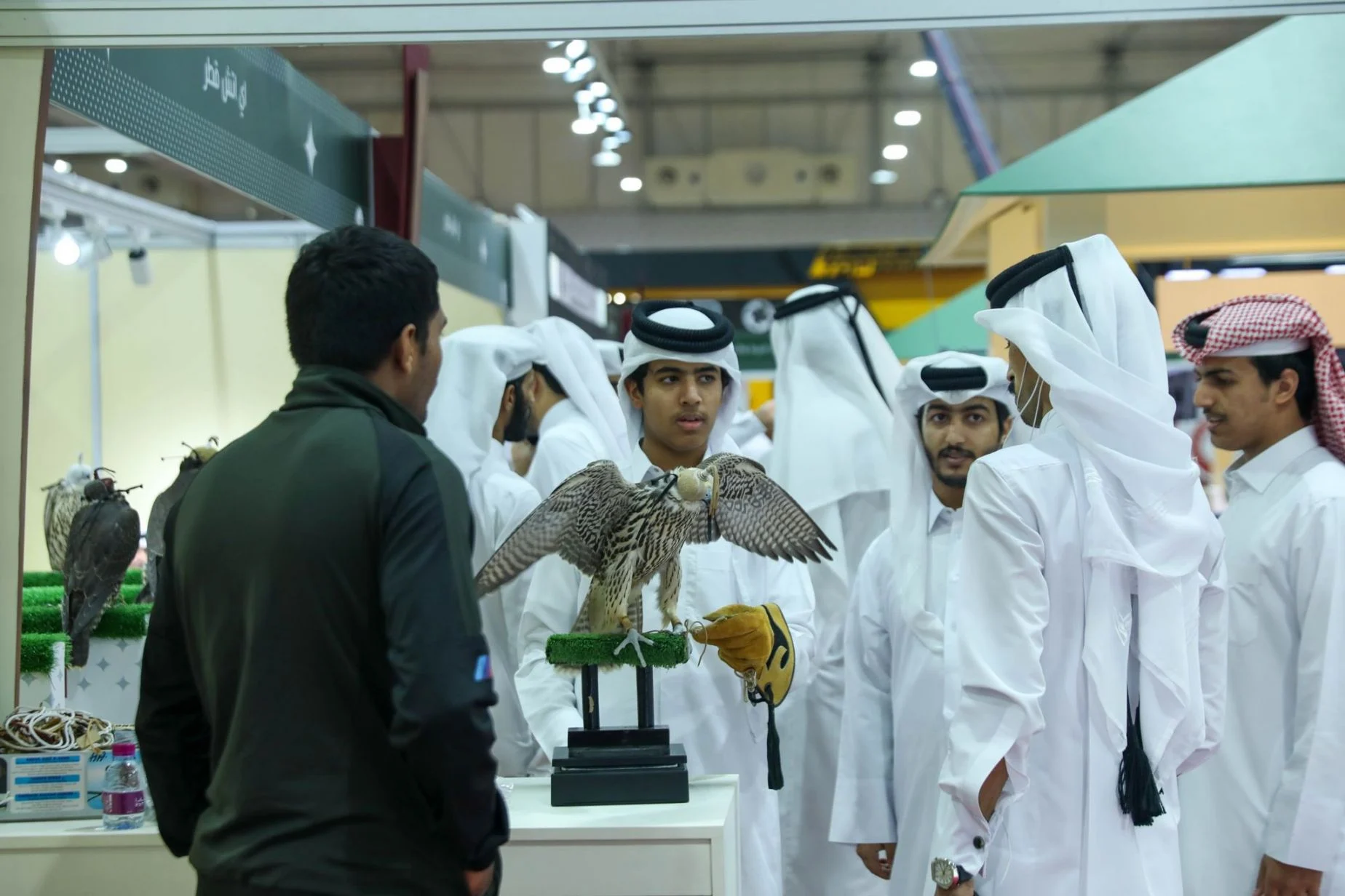 7th Edition of Katara's International Hunting and Falcons Exhibition (S'hail 2023) Inaugurated