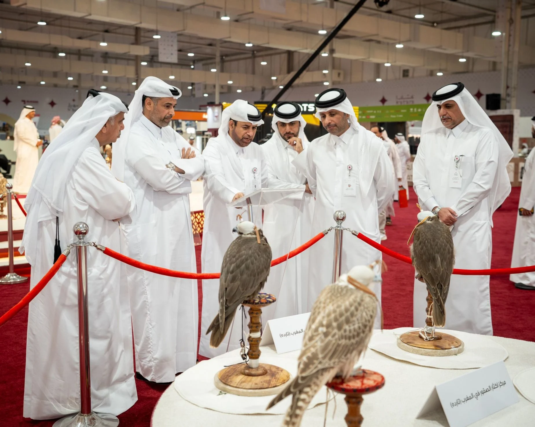 Minister of Environment and Climate Change Affirms that S'hail Attracted More Exhibitors from Qatar, GCC
