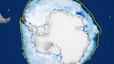 Antarctic Sea Ice Hits Record Low Maximum Extent for 2023