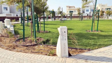 Discover Thumama Park: Opening Soon!