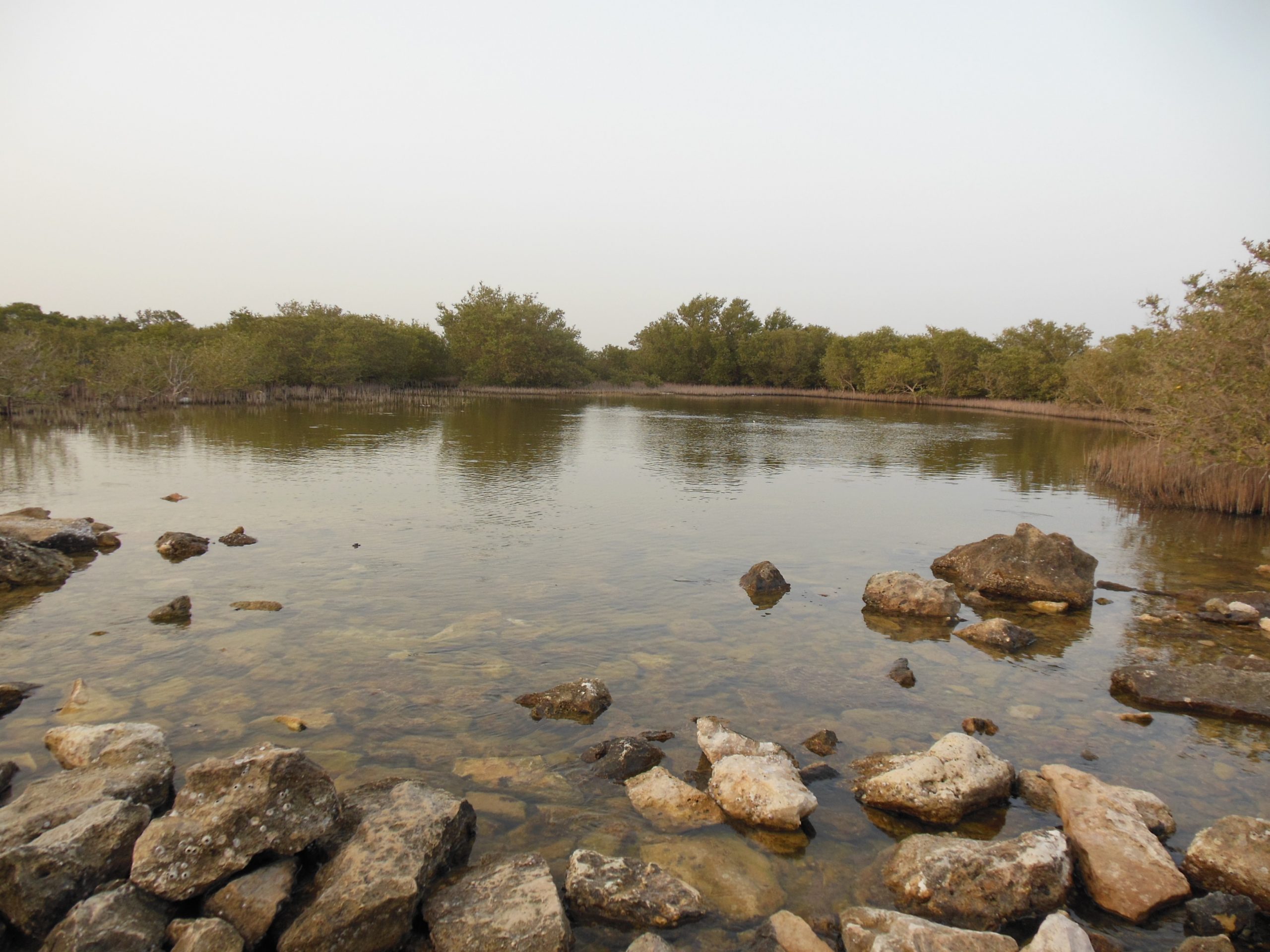 A Must-See in Qatar: The Allure of Purple Island