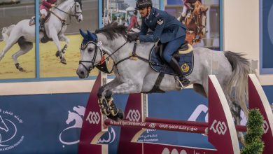 "Daam" Sponsors Qatar Equestrian Federation Activities in 2023-2024 Season