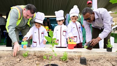 QU Hosts International Children's Day Festival: "Passion and Profession"
