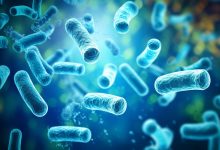 Researches Discover How Lactobacillus Can Help People with Depression and Anxiety