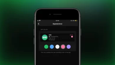 WhatsApp Testing Color Customization Feature for iPhone Users