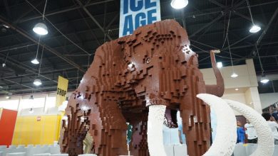 LEGO Shows Qatar: Everything You Need to Know