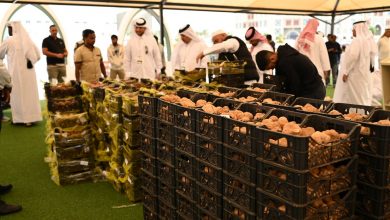 70 Tons of Truffles Sold at Souq Waqif Truffle Exhibition and Auction 2024