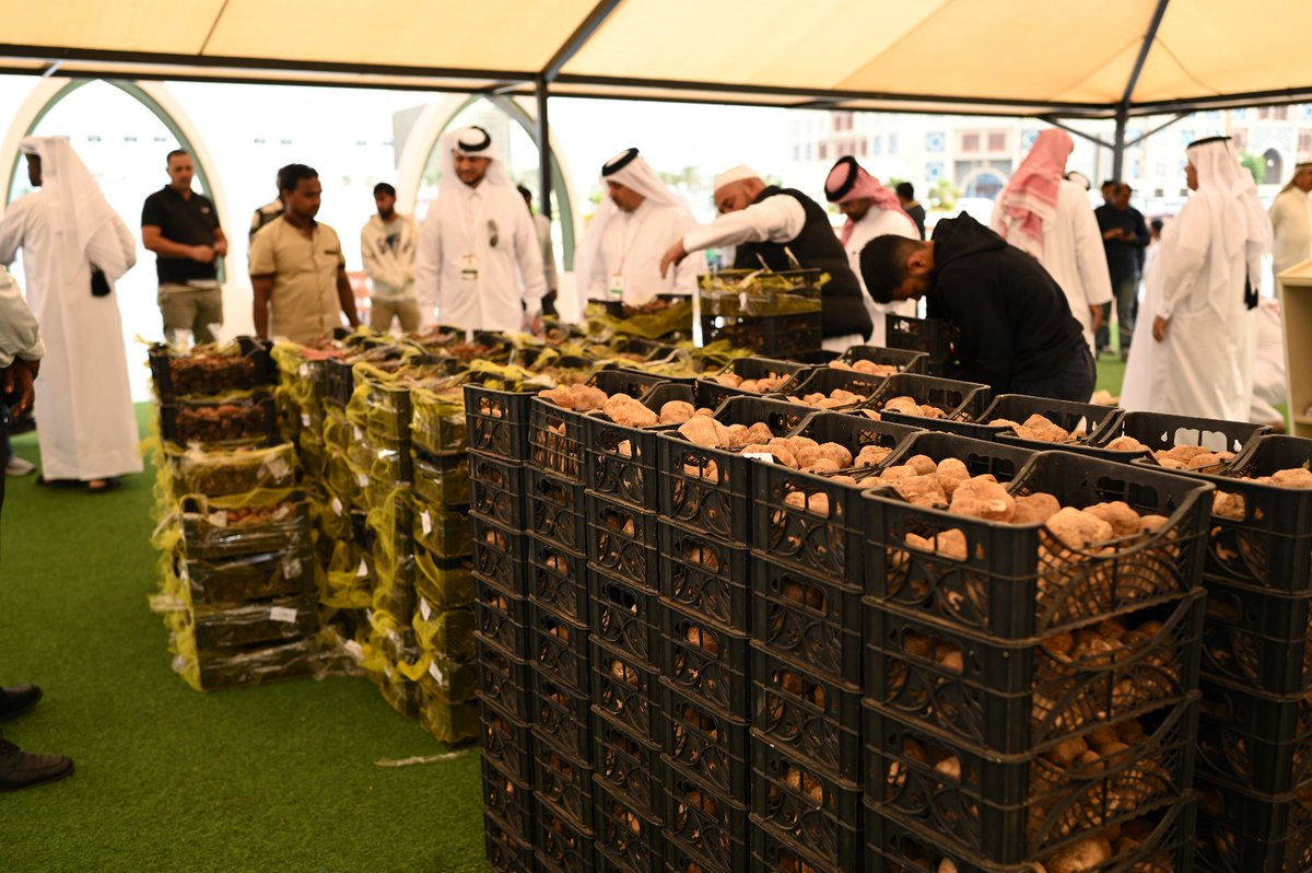 70 Tons of Truffles Sold at Souq Waqif Truffle Exhibition and Auction 2024