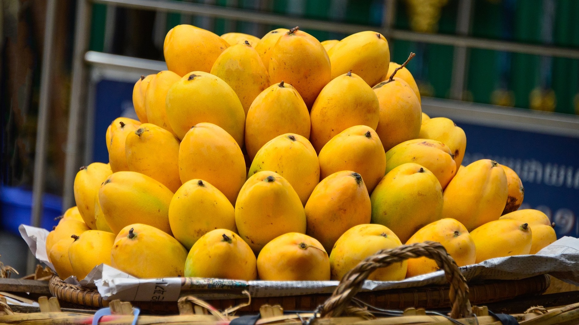 Pakistan Mango Festival at Souq Waqif