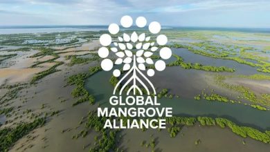 QF’s Earthna Joins the Global Mangrove Alliance