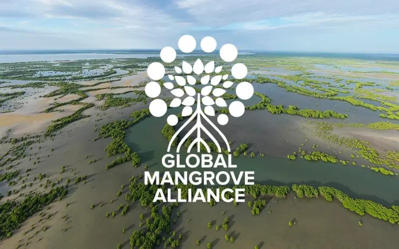 QF’s Earthna Joins the Global Mangrove Alliance