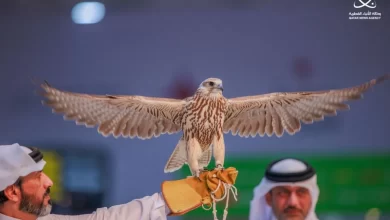 Katara International Hunting & Falcons Exhibition (S'hail 2024)