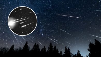 Leonid Meteor Shower: Where and When to Watch in Qatar